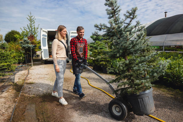 Best Tree Clearing Services  in South Temple, PA